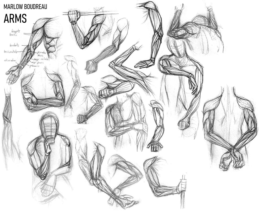 Life drawing - arms